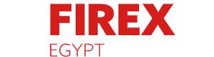埃及国际安防展 IFSEC FIREX 2024
