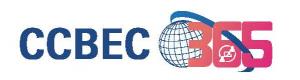 中国(深圳)跨境电商展览会 CCBEC 2025